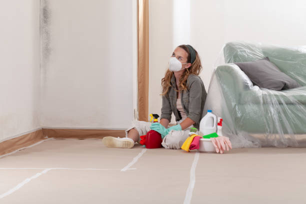 Reliable Mold Inspection And Testing contractor in Puyallup, WA by Car Mold Remediation